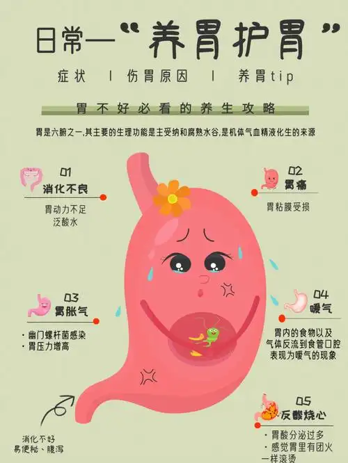 2亿肠胃病患者,胃癌的发病率居全球shou位!饮食不规律,大吃特吃,节食