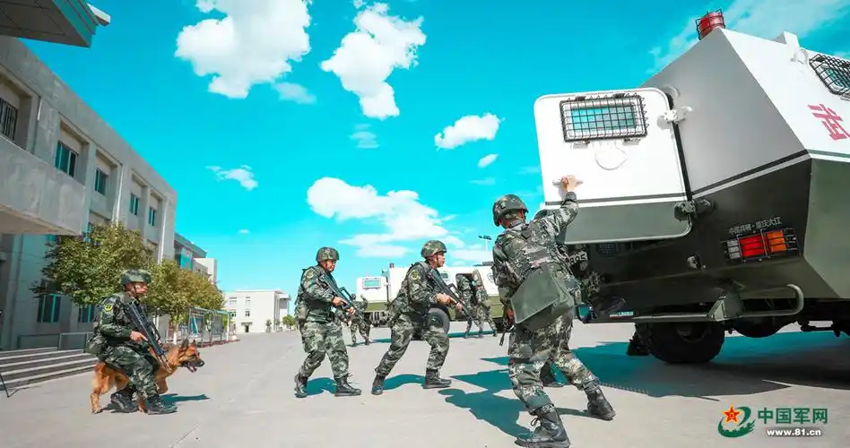 武警新疆总队克拉玛依支队开展山地丛林捕歼战斗演练组图