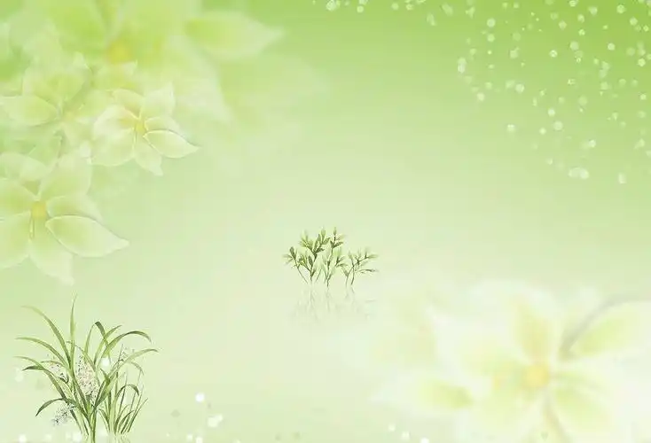 淡雅的意思淡雅的意思淡雅意思