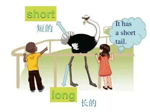 short 短的 it has   short tail. long 长的
