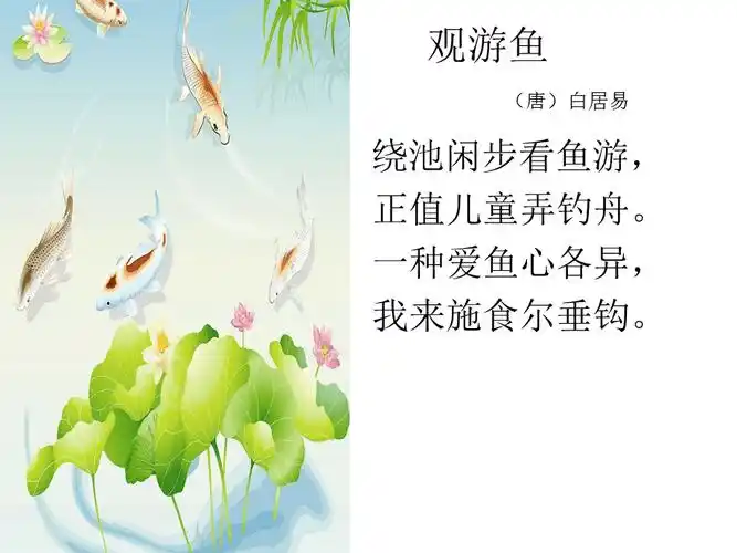 观游鱼ppt