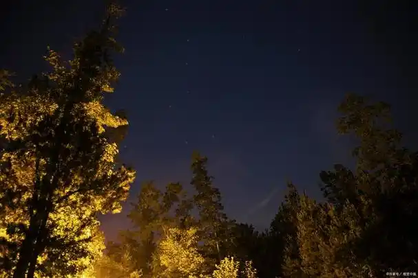 夏天的夜晚作文600字