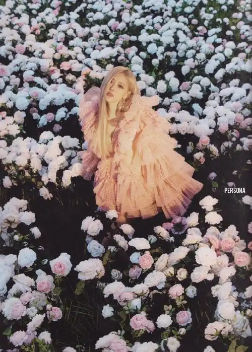 rose朴彩英_blackpink