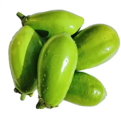 现摘现发青茄子5斤河南绿皮茄子新鲜蔬菜茄子农家自种1-2斤圆茄子