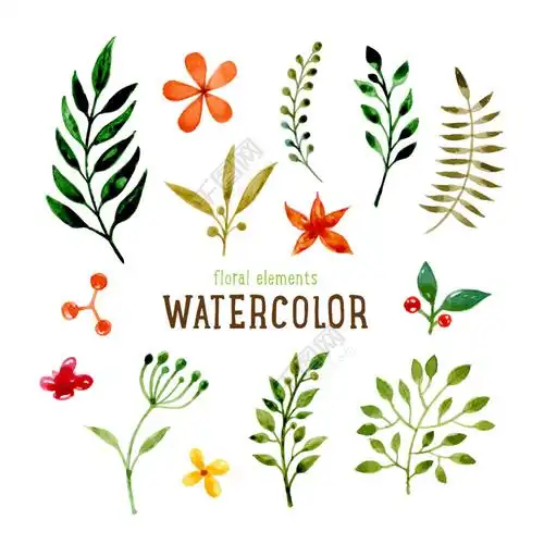 水彩绘小清新植物插画矢量图免费下载_ai格式_编号27025358-千图网