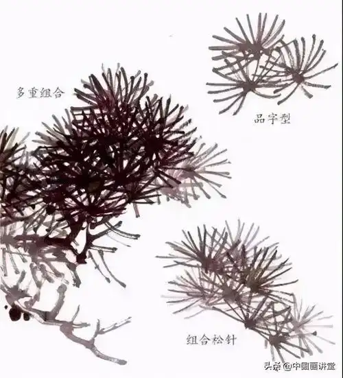 彩墨花鸟画法之松树画法-搜狐大视野-搜狐新闻