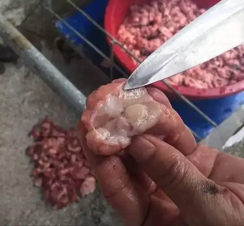 淋巴肉准确点概括的说是: 被分割,摘除下来的甲状腺,胸腺,淋巴结