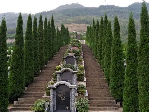 青龙山公墓(綦江古剑山风景区下,高速一小时,风水好)
