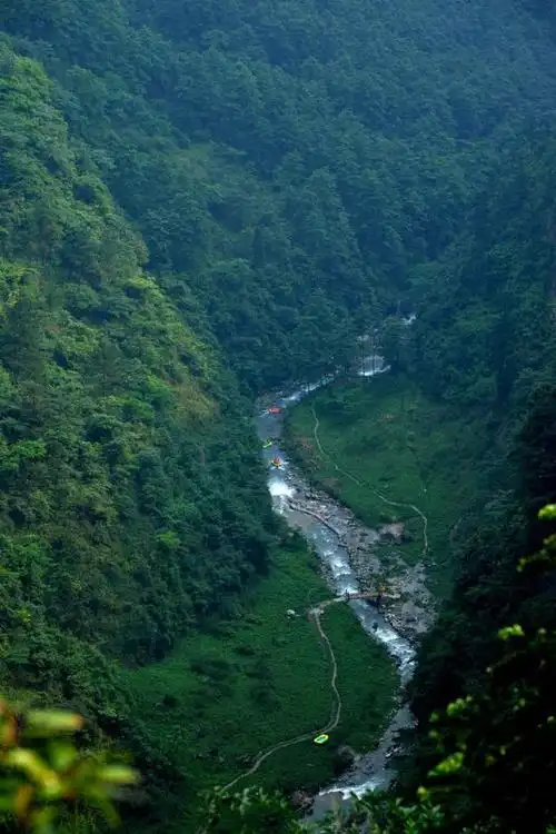 清晨,一缕阳光透过薄雾,洒在重庆黑山谷旅游区的蜿蜒小道上.