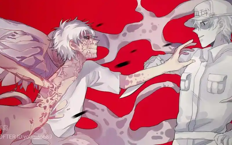 [工作细胞癌白]癌白