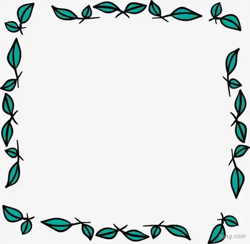 手绘树叶边框png素材透明免抠图片-装饰效果
