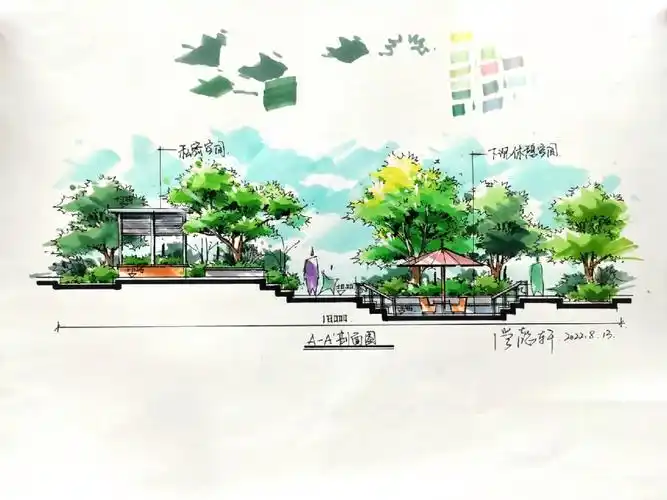 景观剖面图 #景观马克笔手绘