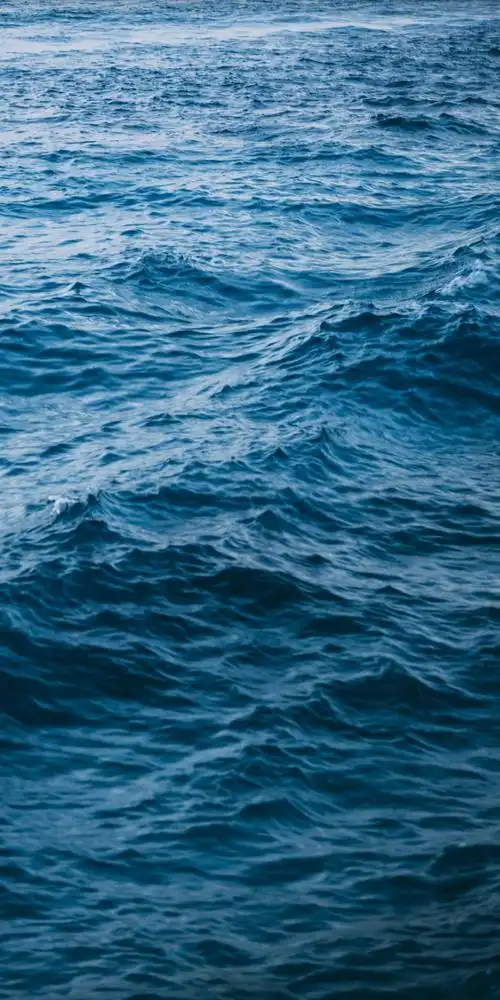 有没有好看的深海壁纸?