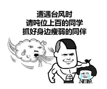 利奇马 台风 蘑菇头 搞笑 魔性