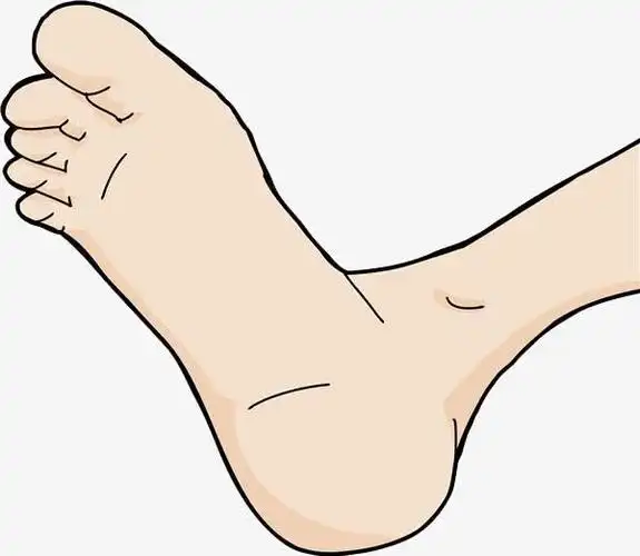 关键词 : 足底,脚丫子,小脚丫,脚底,脚底板,足底穴位, 足底按摩