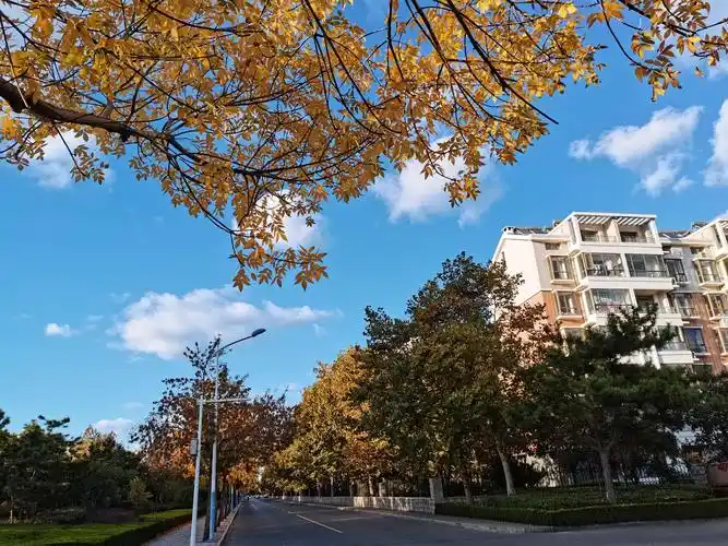 2020年秋天小区景色随拍.