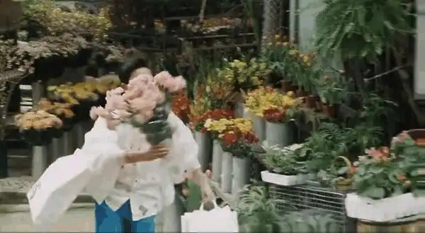 张国荣送花情侣头像,需要的姊妹可以拿走,截图截半天#情侣头像