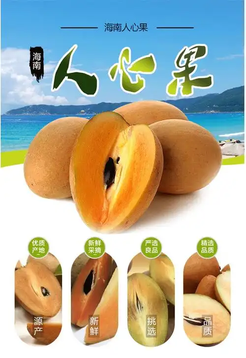 顺丰 海南人心果 人参果仙人果 礼盒装三亚新鲜水果澄迈火山岩富硒