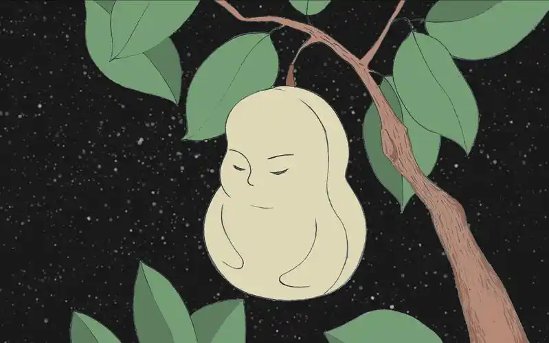 一个人的动画短片人参树上人参果