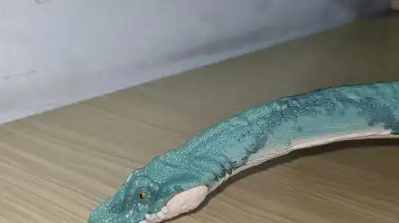 美泰薄片龙细节,未上市不能给码