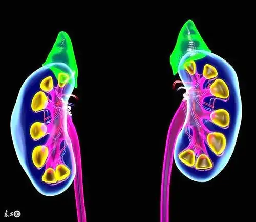 老中医:6大症状是肾阳虚的典型表现,1个方子就能温补肾阳_健康_引力