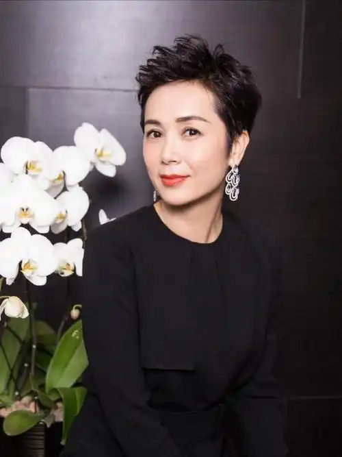 蒋雯丽越来越丰满了穿黑色长裙的大秀凹凸感50岁身材太有料