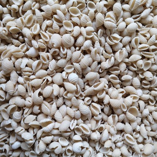 虎钢馋麻食陕西整箱30斤餐饮装烩麻食麻什子面食海螺贝壳猫耳面疙瘩