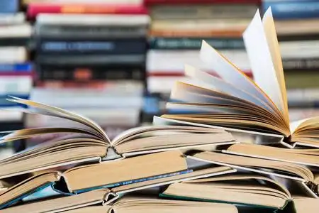 草莓和本烹调书图片