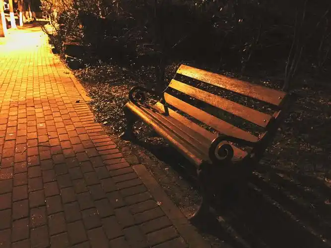 难忘的夜晚,难忘的香气,错过的她