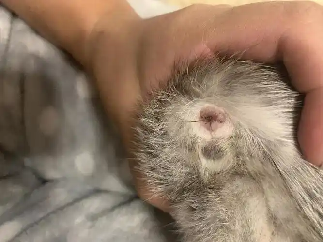 【讨论】求助有人知道这是怎么回事吗 附图