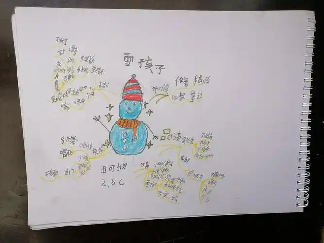 南二小二年级六班《雪孩子》思维导图作业展示