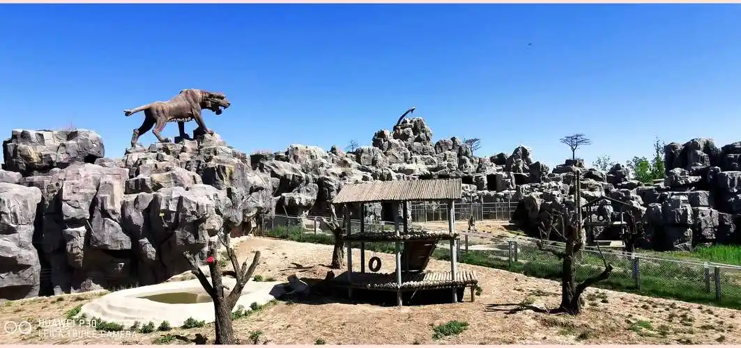 2020【十一】沧州市动物园(5月12日)