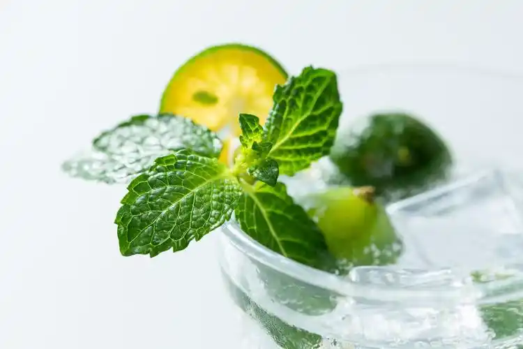 iff薄荷清凉风味香精:香气清新透澈,沁人心脾