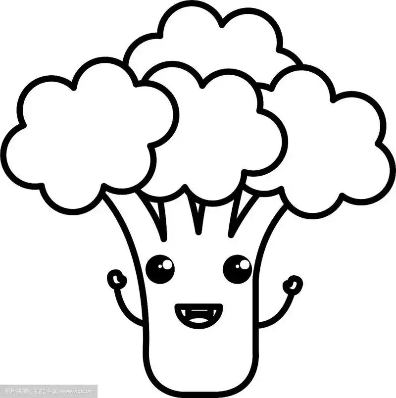 花椰菜新鲜可爱的性格