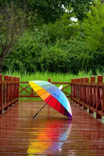雨伞 雨伞 雨中 场景