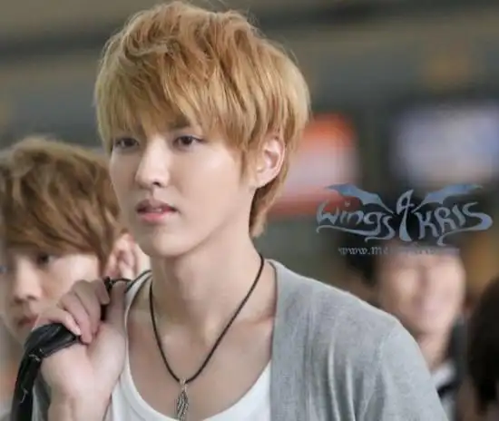 吴亦凡帅气走秀气场强大 揭秘吴亦凡成名史及家庭背景