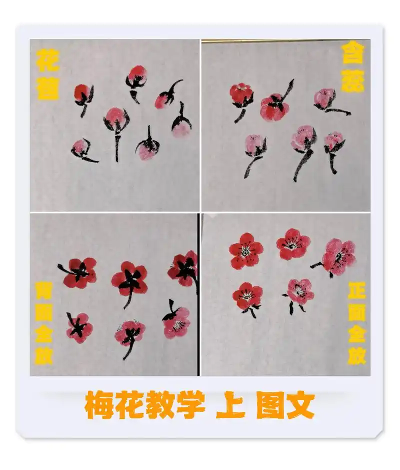 梅花画法02课上图文