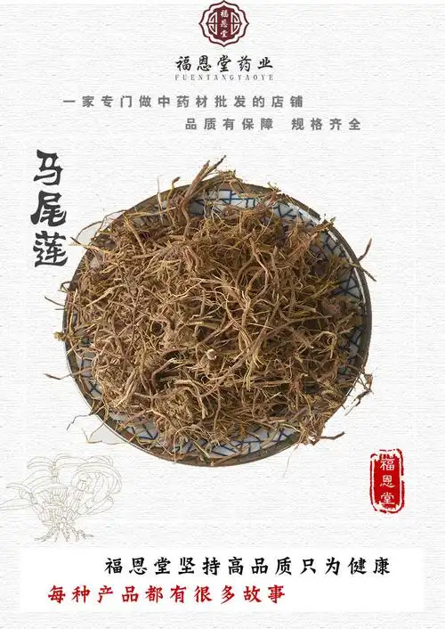 中药材批发马尾莲零售马尾连新货马尾黄连无硫金丝马尾莲量大从优