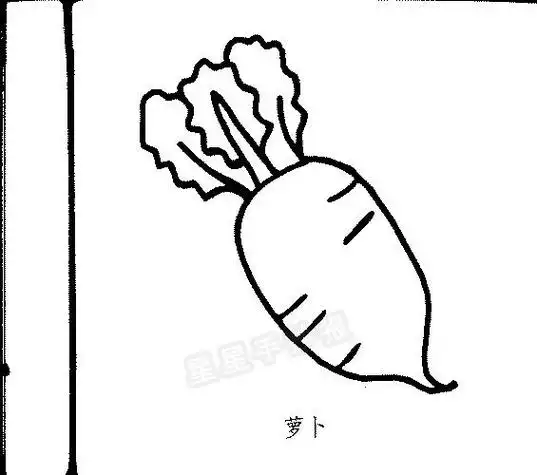 大萝卜简笔画