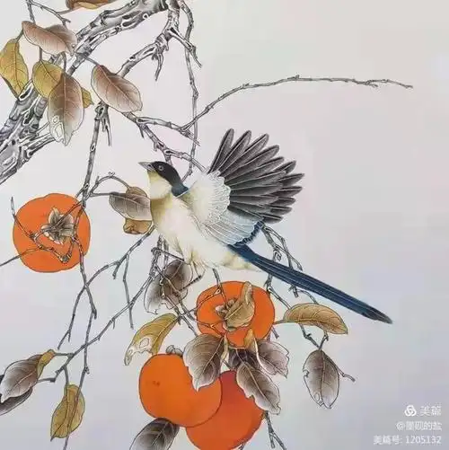 寄情花鸟勾写妙境工笔女画家林晶花鸟作品欣赏