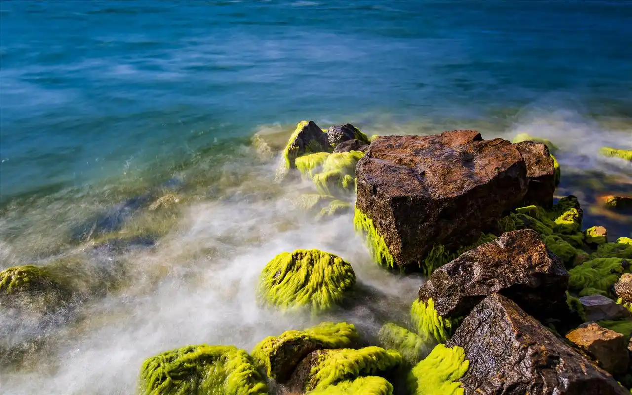 云南抚仙湖清新风景精选高清电脑壁纸图片大全(二)