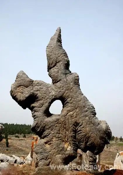 园林石 -费县园林石-费县奇石网的画廊-图片库-图说天下-艺术你的生活