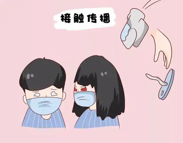 途径二:接触传播