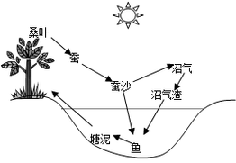 我国南方某些地区建立的"桑基鱼塘"模式,是现代农业的典型,该模式获得