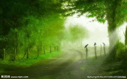 梦幻森林插画图片