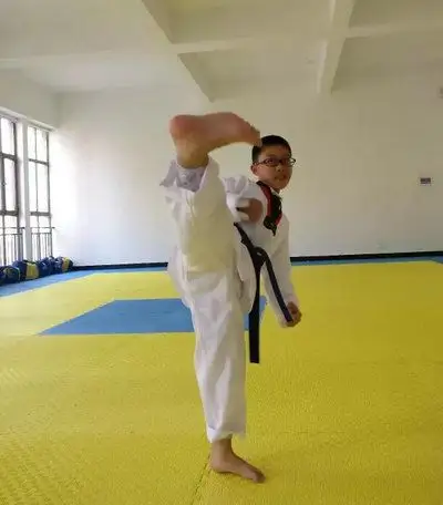 平湖枫叶国际学校跆拳道社介绍