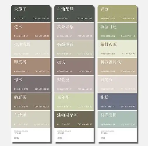 寓见诚品2021莫兰迪色卡cmyk四色色卡色板卡样板卡灰配色绘画插画色系