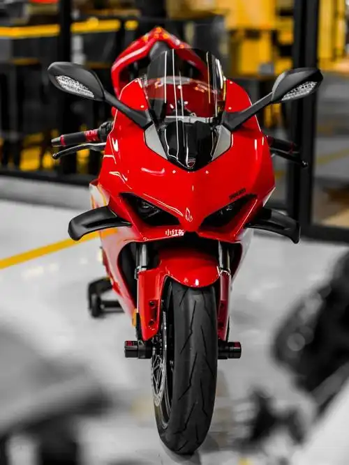 杜卡迪panigalev4s机车