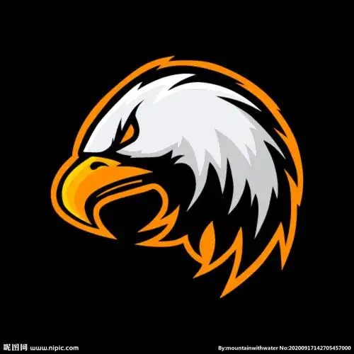 鹰头设计图__图片素材_其他_设计图库_昵图网nipic.com