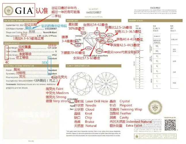一张图带你解读gia证书